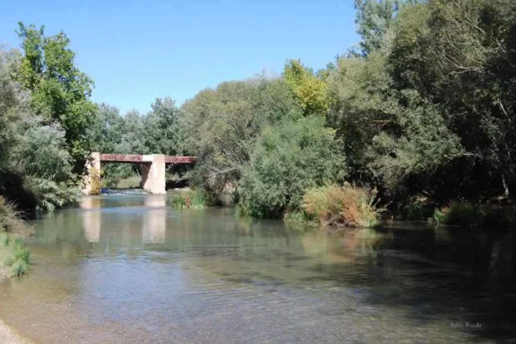 CASA RURAL DE LAS MARIPOSAS | FUENSANTA | JUCAR | CASA RURAL